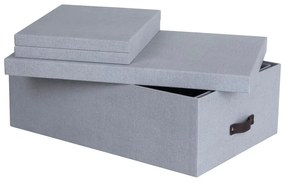 Világosszürke fedeles karton tárolódoboz szett 3 db-os 31x47x15 cm Inge – Bigso Box of Sweden