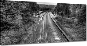 Festmények 120x60 Tóra