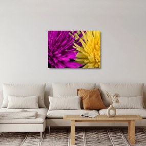 Kép - virág részlet (üvegen) (70x50 cm)