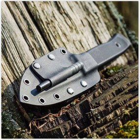 Poszterek 140x140 Kés tokban az erdőben