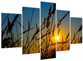 Kép - naplemente a réten (150x105 cm)