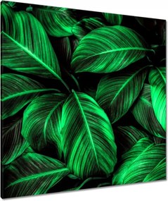 Vászonkép 90x90 Zöld levelek
