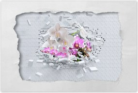Poszterek 60x40 Orchidea a falon Virágok