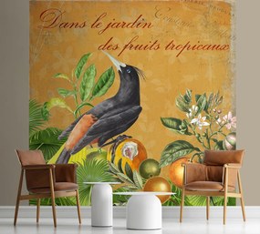 Gario Fotótapéta Madár érzelmi betuk - Andrea Haase Anyag: Vlies, Méret: 200 x 200 cm