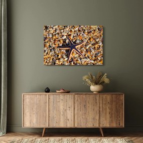 Egy tengeri csillag képe (90x60 cm)