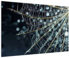 Kép - Virág pókhálóval (90x60 cm)