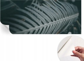 Öntapadós fotótapéta Nappaliba és Hálószobába Zöld levél 250x104