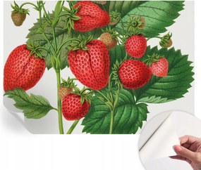 Öntapadós Dekoratív Fotótapéta Hálószobába Nyári gyümölcsök 208x146 cm