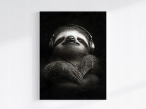 Canvas Vászonkép Lajhár Portré Zene Relaxáció Pihenés 60x80