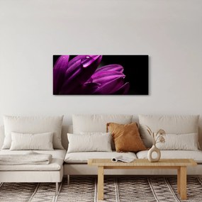 Kép - Vízcsepp (120x50 cm)
