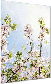 Vászonkép 70x100 Virágok