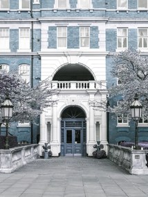 Poszter 60x80cm Albert bíróság épülete, Assaf Frank