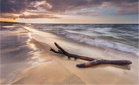 Flizelin fotótapéta Flizelin Design Nyugati strand 416x254