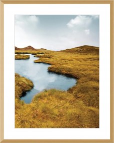 Dekoria Vászonkép Grassy Field II 40x50cm