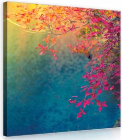 Vászonkép 40x40 Őszi levelek fa színek ősz természet nyugalom idő