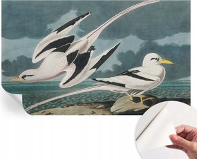 Divatos öntapadós fali tapéta Madarak a tengerparton 416x254 cm