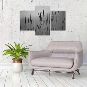 Kép - Fűszálak (90x60 cm)