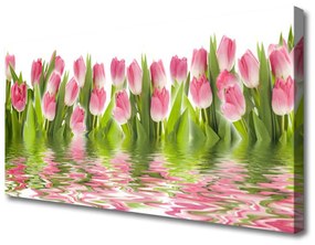 Vászonkép falra Plant tulipánok Természet 100x50 cm