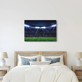 Kép - Labdarúgó stadion (90x60 cm)