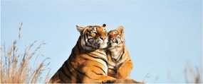 Kép - Tigris és a kölyke (120x50 cm)