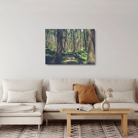 Kép egy út a fák között (üvegen) (70x50 cm)
