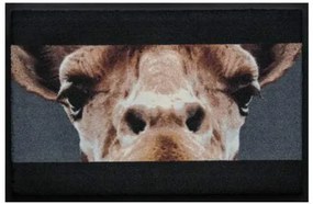 Állatos prémium lábtörlő - zsiráf (Válassz méretet: 75*50 cm)