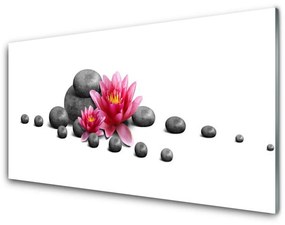 Modern üvegkép Lotus Flower Zen Spa 100x50 cm 2 fogas