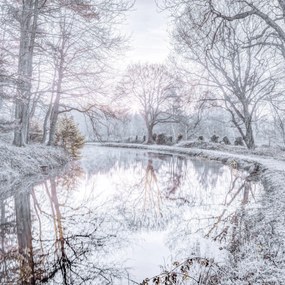 Poszter 30x30cm Csatorna fákkal, Assaf Frank