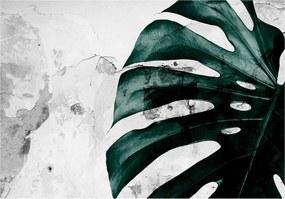 Fotótapéta flizelina Monstera levelek zöld minimalizmus természet 400x280 +ragasztó