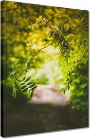 Vászonkép 30x40 Zöld levelek Levelek