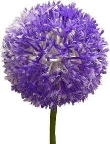 Mesterséges Fokhagyma Lila, Díszítő Ág, Nádakhoz És Kompozíciókhoz