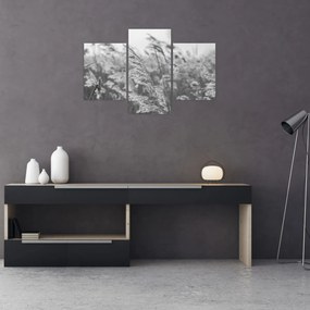 Kép - Fű a szélben (90x60 cm)