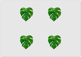 Poszterek 100x70 Monstera Lyukas levelek