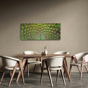 Kép - Páva (120x50 cm)