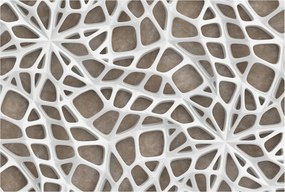 Fotótapéta Flizelina Nappali és Hálószoba Iroda Csipke háló 104x70 Ragasztó