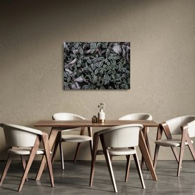 Üveg kép - Fagyasztott növények (70x50 cm)