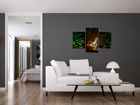 Kép spa dolgokról (90x60 cm)