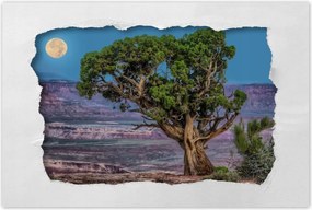 Poszterek 90x60 Kilátás Tájkép