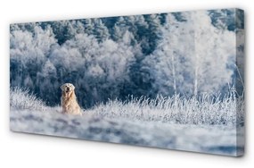 Canvas képek Winter mountain dog 125x50 cm