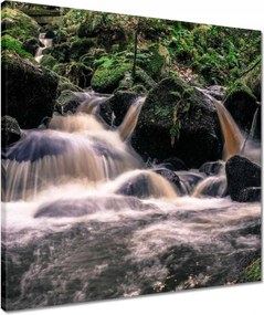 Vászonkép 50x50 Hegyi folyó