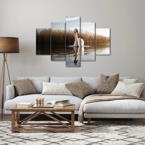 Hattyú képe (150x105 cm)