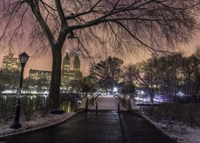 Poszter 70x50cm Esti kilátás a Central Parkra, Assaf Frank