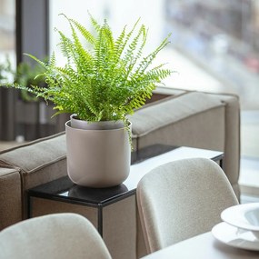 Plastia Tolita önöntöző virágtartó, barna, átmérő: 19 cm, 19 cm átmérőjű