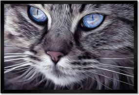 Poszterek keretben 60x40 Macska Cicák