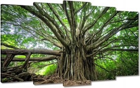 Festmények 100x60 Fa Fák Kilátás