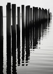 Poszter 64x90cm Víz és fa ritmus