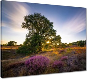 Vászonkép 50x40 Tájkép Látvány