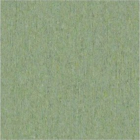 Vinil Tapéta Zöld Tekercs Bn Panthera 220116