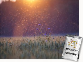 Fotótapéta Flizelina Tájkép Természet Rét Virágok Búzavirág Reggel 200x140 ragasztó