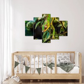 Kaméleon képe (150x105 cm)